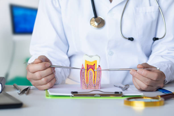 Best Urgent Dental Care for Toothache in Rockwell, AR